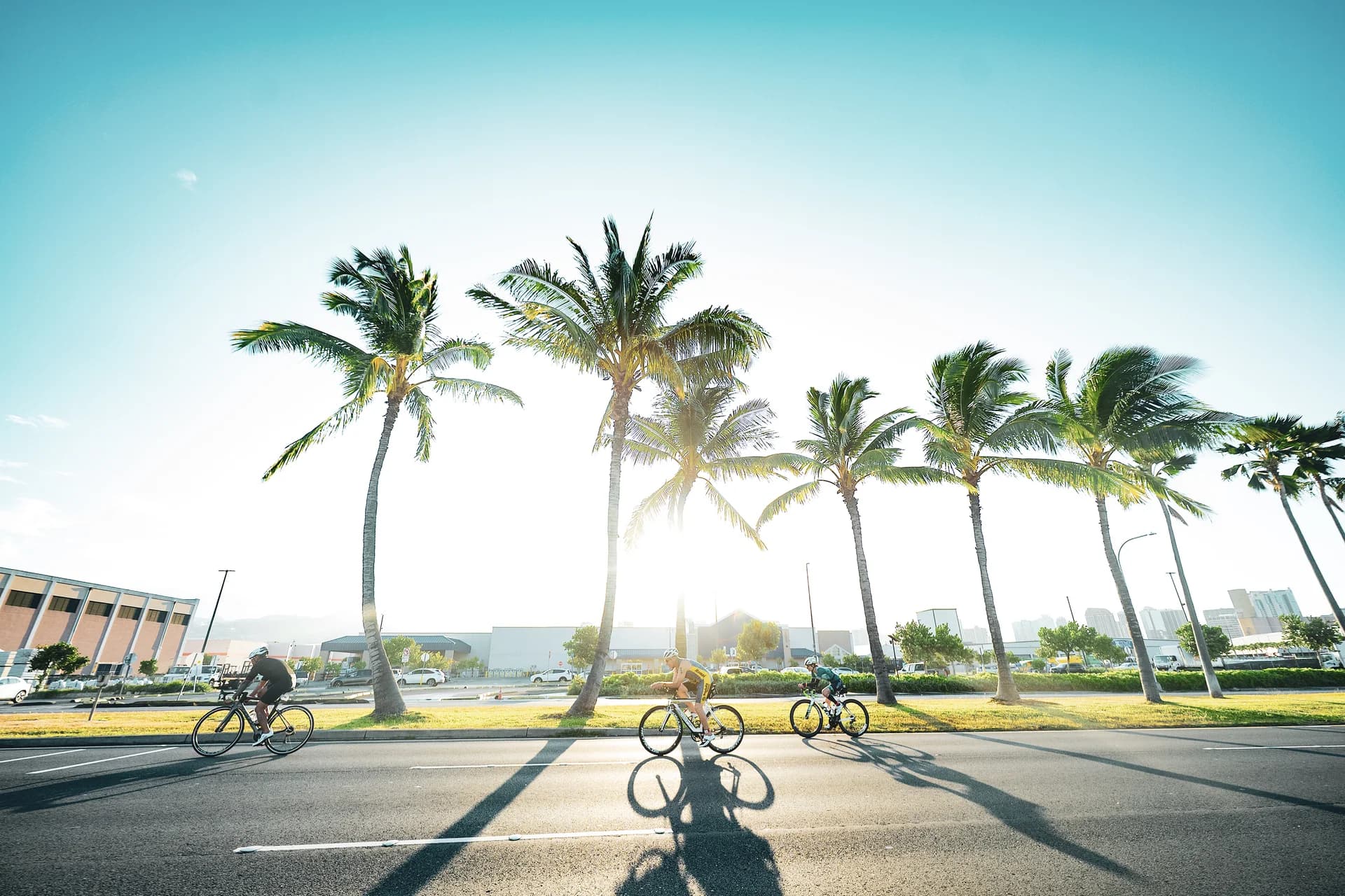 Cyclists riding along the coastal road
