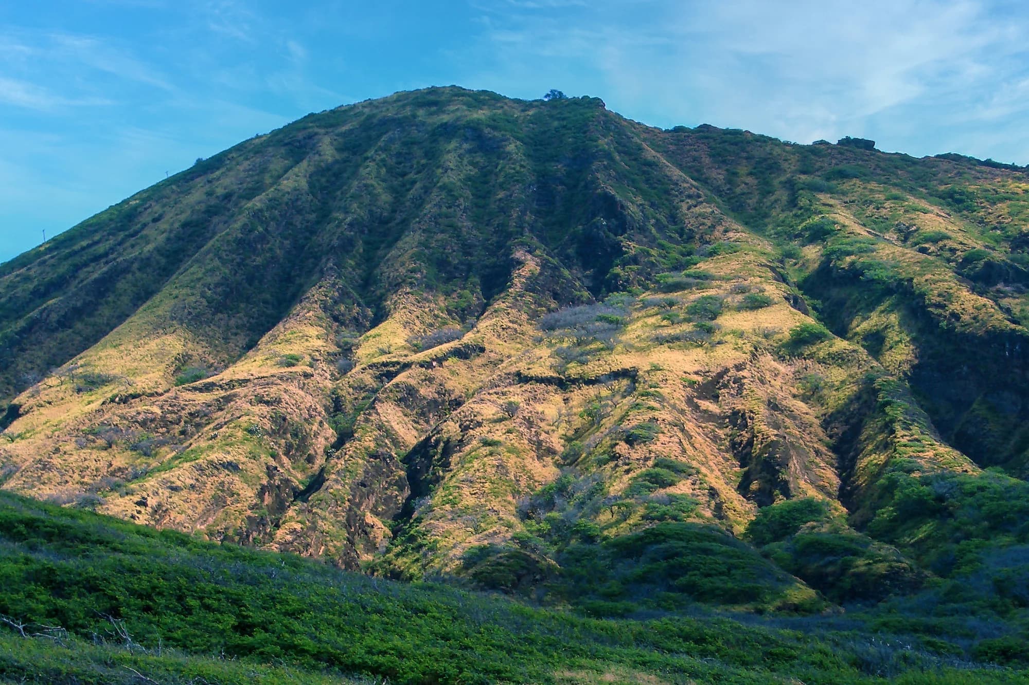 The green slopes of Diamond Head